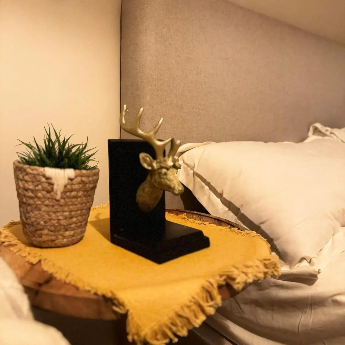 Image 6 of Reefy studio