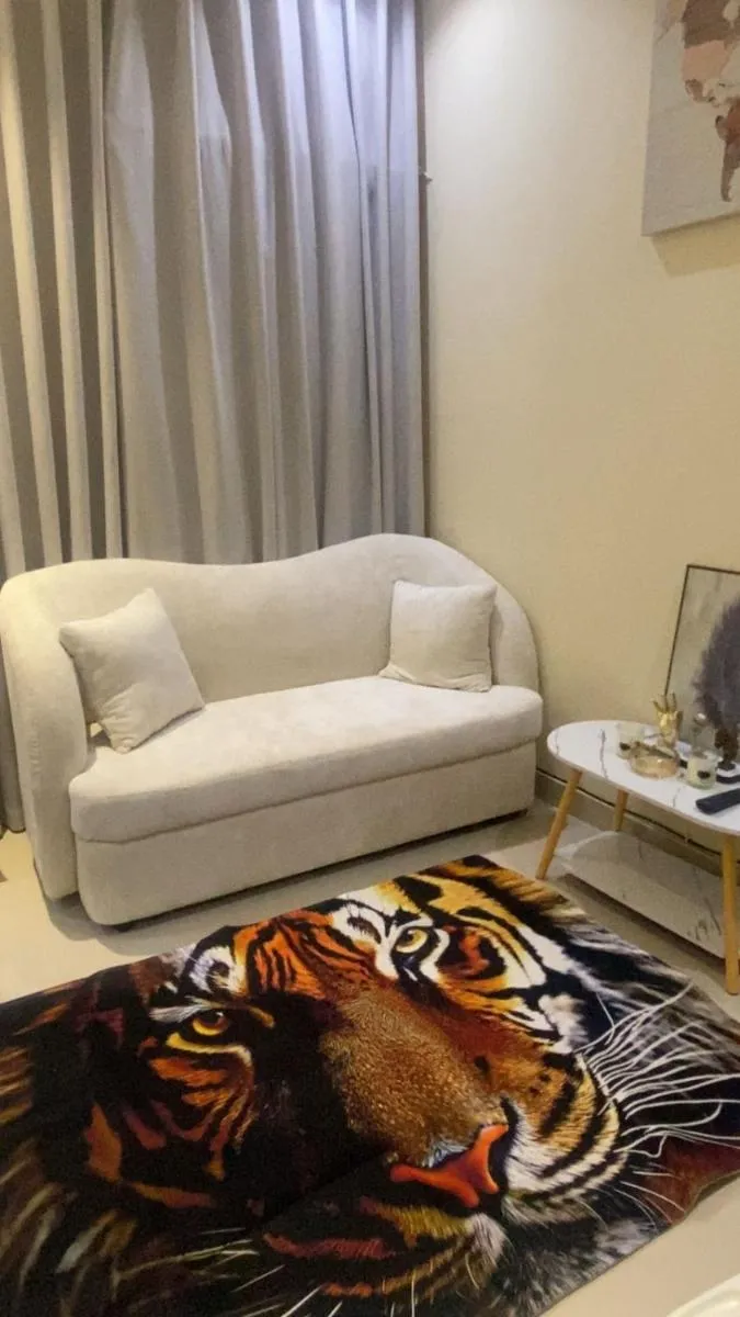 Image 6 of استديو انيق وهادئ