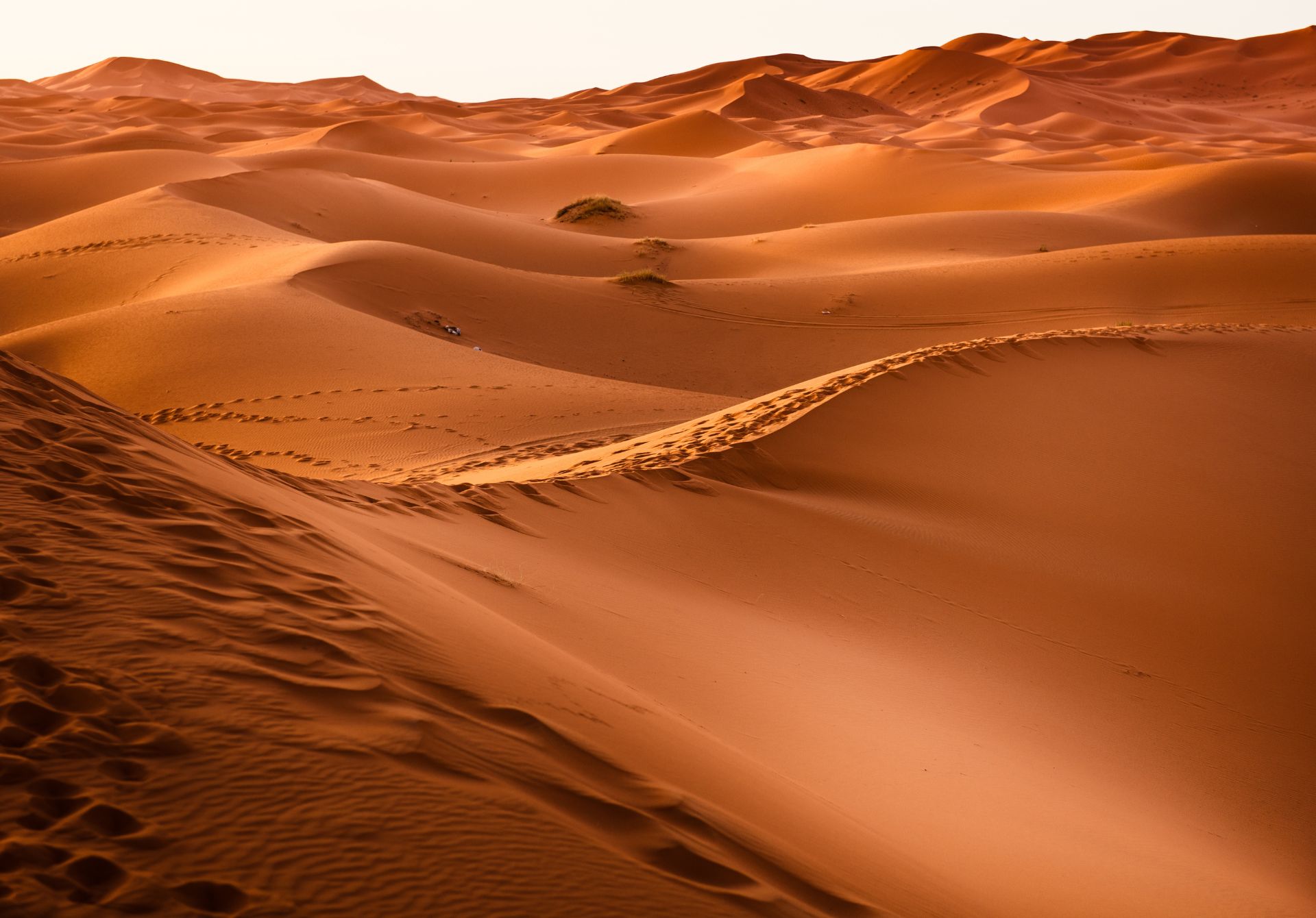 Red Sand Dunes